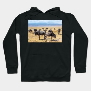 Wildebeest herd at Ngorongoro Crater in Tanzania Hoodie